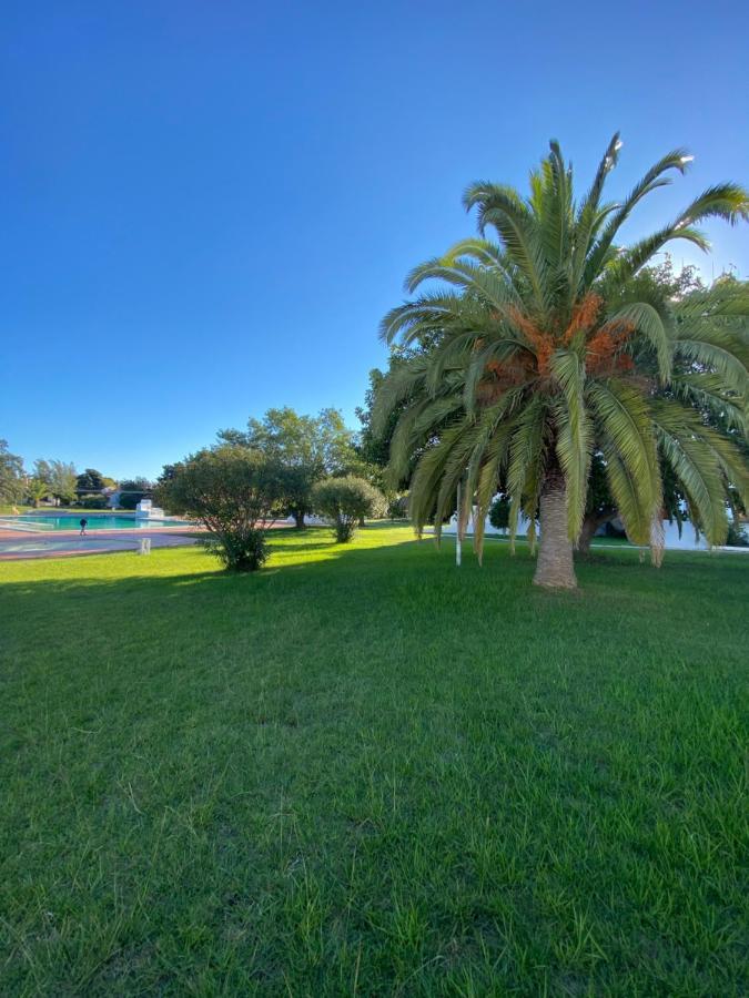 New Algarvegas Paradise Apartment アルブフェイラ エクステリア 写真