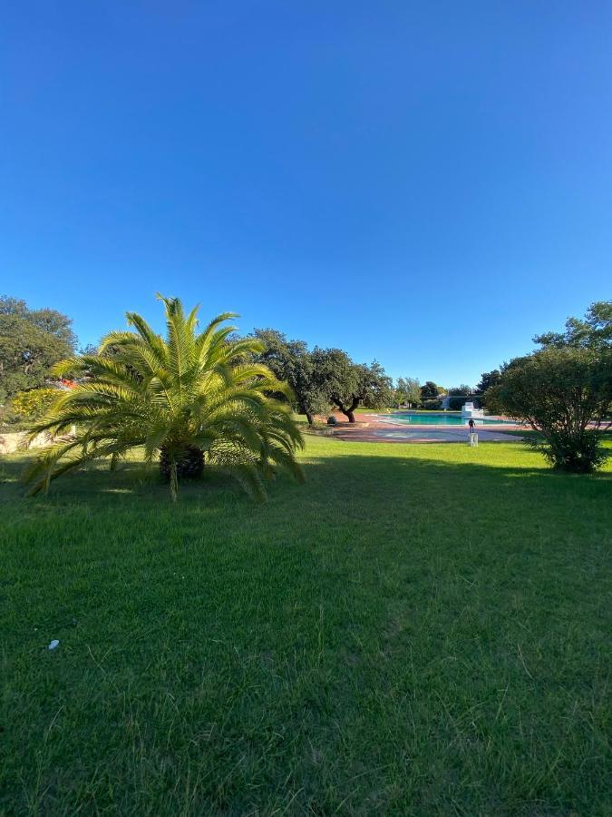 New Algarvegas Paradise Apartment アルブフェイラ エクステリア 写真